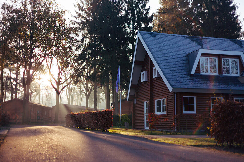 Shingle Repair & Replacement